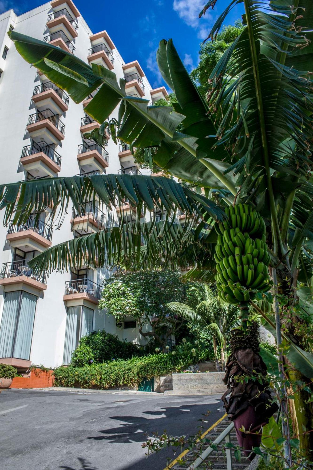 Dorisol Mimosa Studio Hotel Funchal Dış mekan fotoğraf